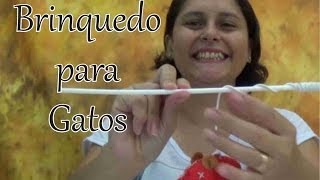 Novo brinquedo para gatos