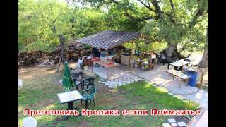 Семейная гостиница в Грузии, Чинти, на реке Арагви. Guest house in Georgia,village Chinti, Aragvi