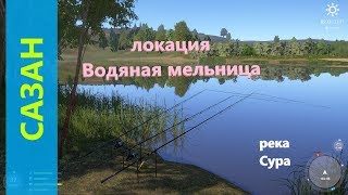 Русская рыбалка 4 - река Сура - Сазан у края карты