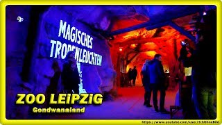 ? ZOO LEiPZiG - MAGiSCHES TROPENLEUCHTEN • GONDWANALAND •  TRAVEL