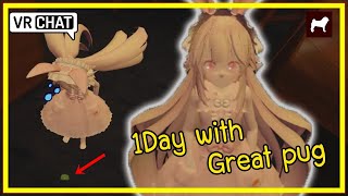 VRChat ไทย | 1Day with great pug (จะวุ่นวายแค่ไหนมาดูกัน)