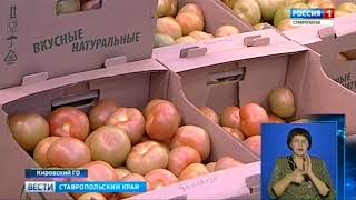 "Вести. Ставропольский край" 27.12.2017