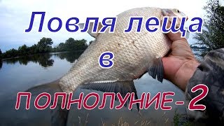 Ловля леща на фидер, на нижней Москве реке в полнолуние.