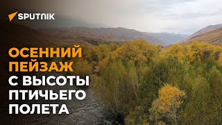 Красота! Осенний пейзаж с высоты птичьего полета