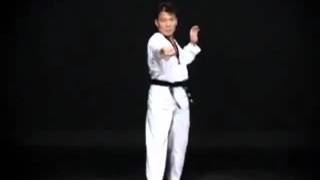 TaeKwonDo | Taegeuk 3