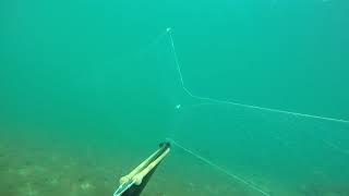 Подводная охота, Каспийское море, мыс Токмак, Мангистауская обл. - март 2018г. Браконьерские сети.