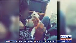 New picture shows teen charged with animal abuse with rabbit