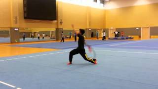 中國功夫武術：武術表演 CHINESE KUNG FU WUSHU 鄭仲恒