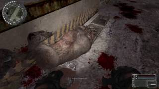 S.T.A.L.K.E.R .: - НОВЫЙ АРСЕНАЛ 4.0 - Прохождение # 11 Серия