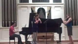 Kuhlau's Trio for 2 flutes and piano, Opus 119, Mvt. 1