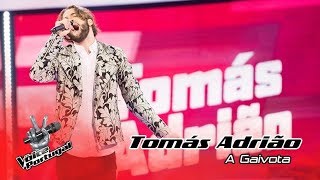 Tomás Adrião - "A Gaivota" | Final | The Voice Portugal