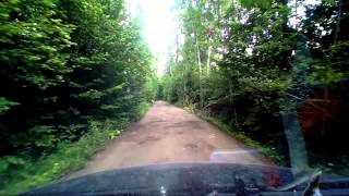 Дорога в лесу. Новая Москва - лесная дорога. Часть 1