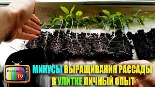 МИНУСЫ ВЫРАЩИВАНИЯ РАССАДЫ В УЛИТКЕ ЛИЧНЫЙ ОПЫТ