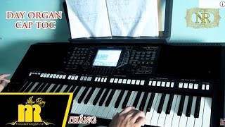 Học Đàn Organ Cấp Tốc TPHCM - Về Đâu Mái Tóc Người Thương - Online-Cơ Bản-Nâng Cao-★0909422006★