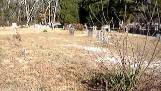 Batsto-Pleasant Mills Cemetery, in the Pines