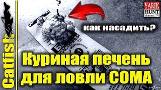Способ насадки куриной печени,на крючок.Видео снято на Garmin  VIRB® XE