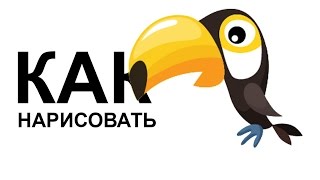 Как нарисовать животных. Рисуем тукана поэтапно