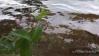 Озеро Валдай. Лето, июнь 2018 года