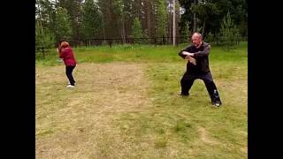 Тайцзицюань. 1 - 16 шаг формы. Учебное видео. 2017г.
