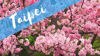 Travel Diary | Taipei, Taiwan