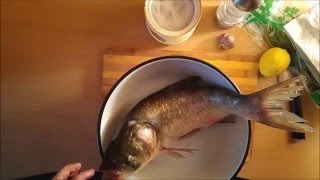 Шашлык из чудо рыбы толстолобика