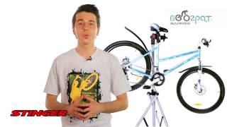 STINGER Велосипед 2-х колёсный VESTA от магазина ДЕТКИ