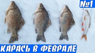 Карась зимой. Ловля карася в феврале