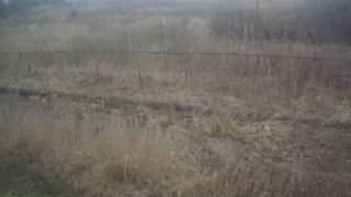 KRIMI !!  | Granica panstwa Polska-Ukraina | border Poland-Ukraine