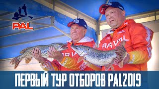 ОТБОРЫ PAL 2019, 1 тур, ВЗВЕШИВАНИЕ
