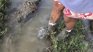 Nike Pegasus Running Shoes Mudding
