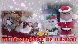 С НАСТУПАЮЩИМ НОВЫМ ГОДОМ! 2020 Прикольное ПОЗДРАВЛЕНИЕ на НОВЫЙ ГОД! Новогодняя видео открытка