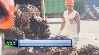 BPDPKS Dorong Pemanfaatan Kebun Sawit Untuk Kegiatan Ekonomi Yang Lebih Luas