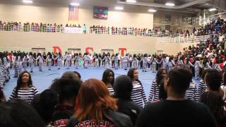 Tennessee State University Alpha Chi Chapter Delta Sigma Theta 2014 Probate