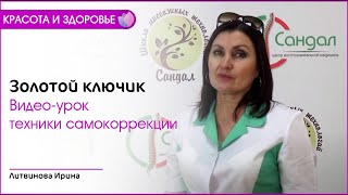 ЗОЛОТОЙ КЛЮЧИК. МИОЛОГИКА. Литвинова И.В.