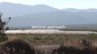 Astra Airlines BAe 146-300 needs 2 landing attempts at Samos Airport!