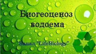 Биогеоценоз водоема, его биотические и абиотические факторы