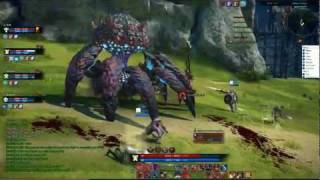 TERA Online NA CBT2: Arakia World Boss