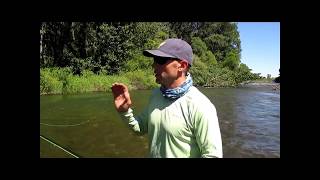 Tighter Loops Roll Casting 301 - Lessons for Tighter Single Hand Spey Casting Loops