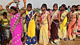 GJ_20_Hamu_Jabar_Tani_Vala_Female_Dance // Adivasi Songs // Adivasi Dance video // New Timli