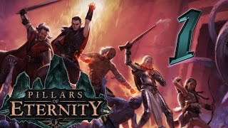Pillars of Eternity #1 - Единственная хорошая РПГ в этом году? [webcam]