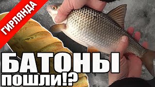 РЫБАЛКА НА ГИРЛЯНДУ - прощай глухозимье! (Плотва, синец, подлещик, судак на гирлянду)