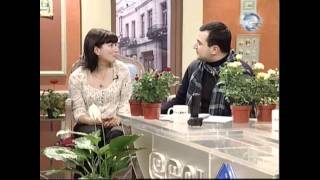 Grato Greenhouse - Dgis show დღის შოუ