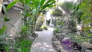 Samui natien resort