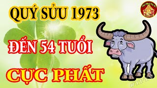 Tiết Lộ Chấn Động Tử Vi Tuổi Quý Sửu 1973 Giàu Có Đổi Đời Tiền Tiêu 5 Đời Không Hết