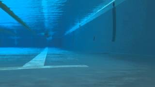 競パンで水泳練習・フリー(クロール)・水中撮影