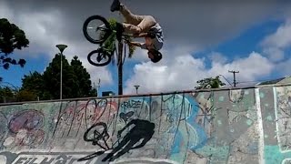flair tailwhip