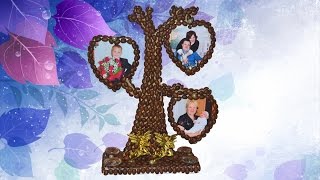 Кофейное деревце. Coffee tree.