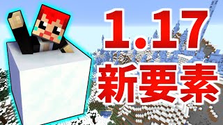 【マイクラ1.17続報!】新ブロック｢パウダースノー｣は超危険!!【赤髪のとも】