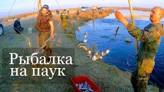 Рыбалка на паук .Карась весной. Чебак вяленный готовка. Рыбалка 2019 ЁКЛМН