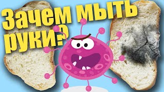 8. Зачем мыть руки - Исследовательский проект для детей